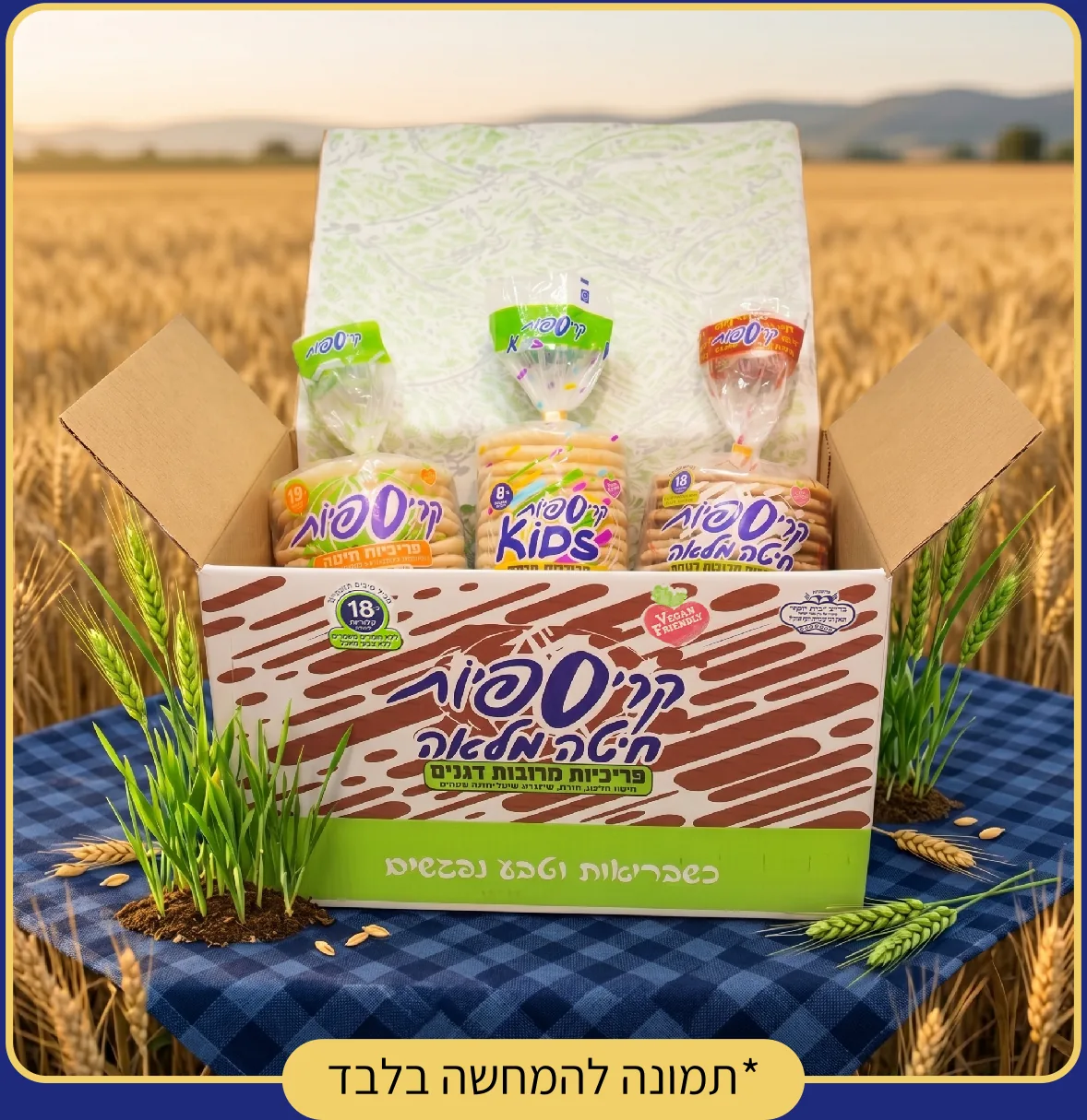 מארז קריספיות בשדה חיטה